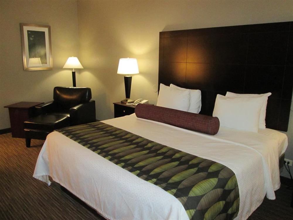 Best Western Plus O'Hare International South Hotel Franklin Park Zimmer foto